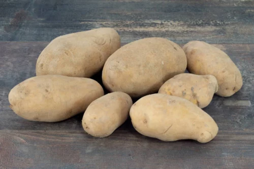 Pomme de terre Agria 500gr