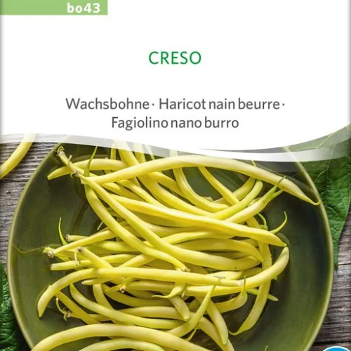 *Haricot nain beurre Creso