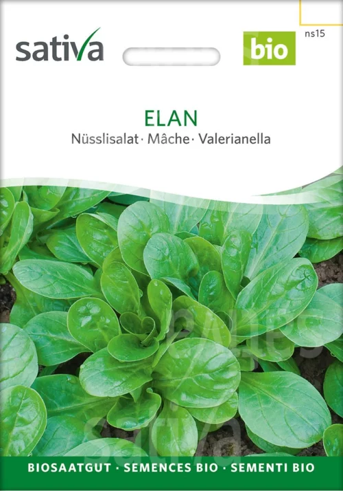 *Mâche Elan
