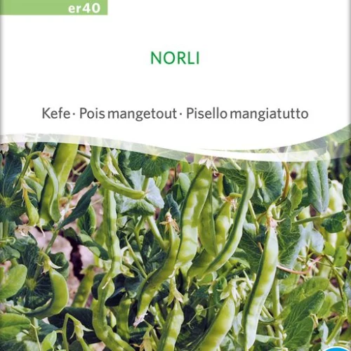 *Pois mangetout Norli