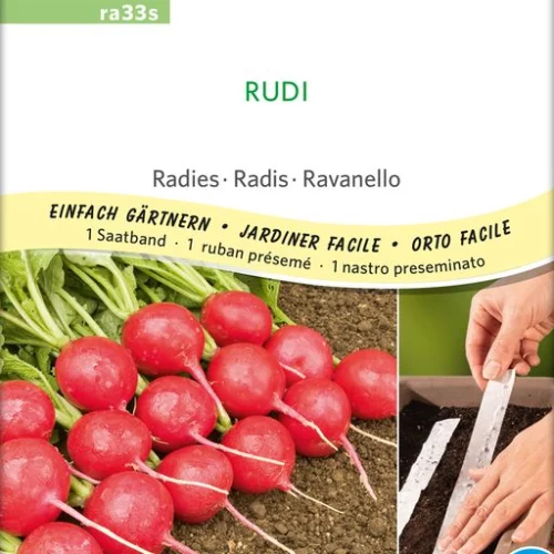 *Radis Rudi, ruban présemé