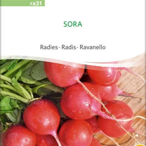 *Radis Sora