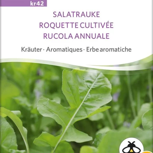 *Roquette annuelle