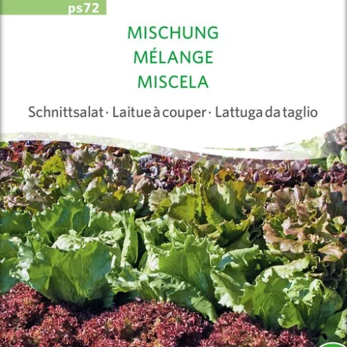 *Salade à tondre Mélange