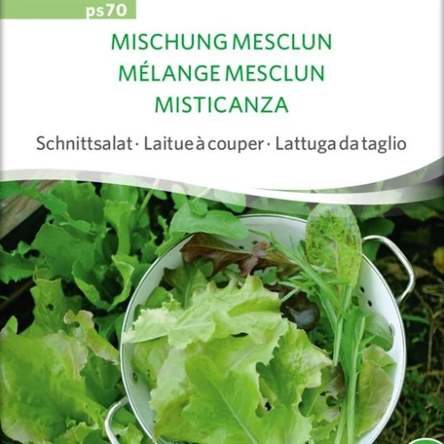 *Salade à tondre Mélange mesclun