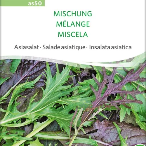 *Salade asiatique Mélange