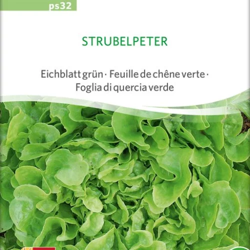 *Salade feuille de chêne verte Strubelpeter PSR