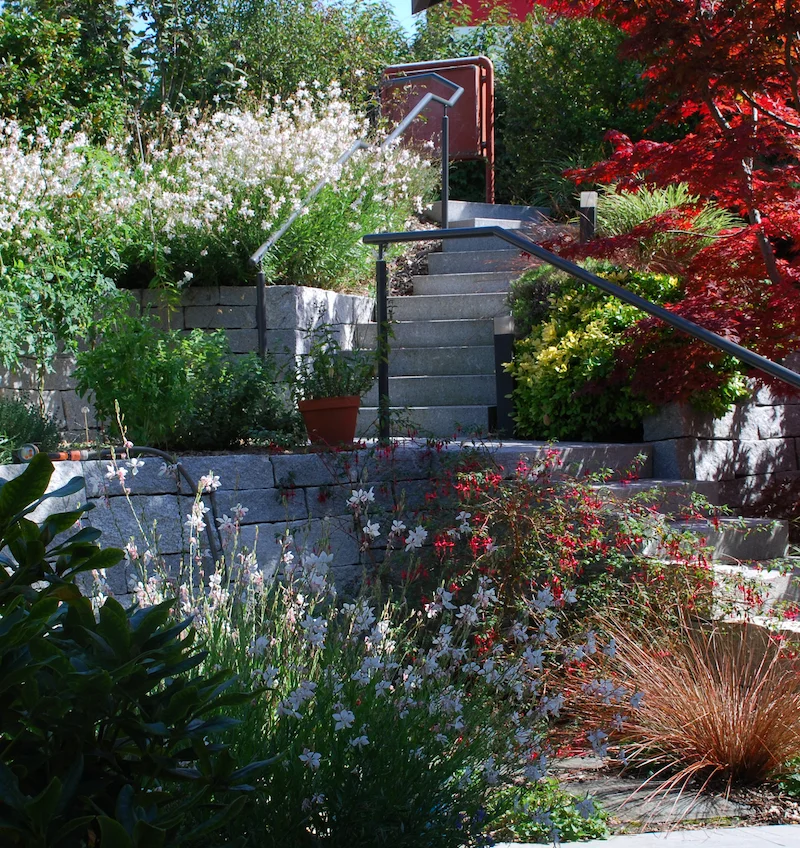 jardin-escalier