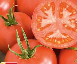 Tomate Rose de Berne PSR
