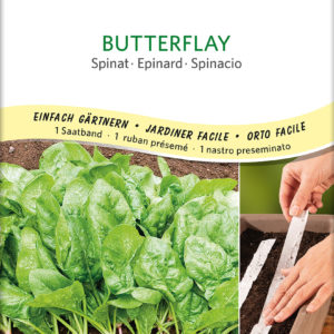 *Epinard Butterflay, ruban présemé