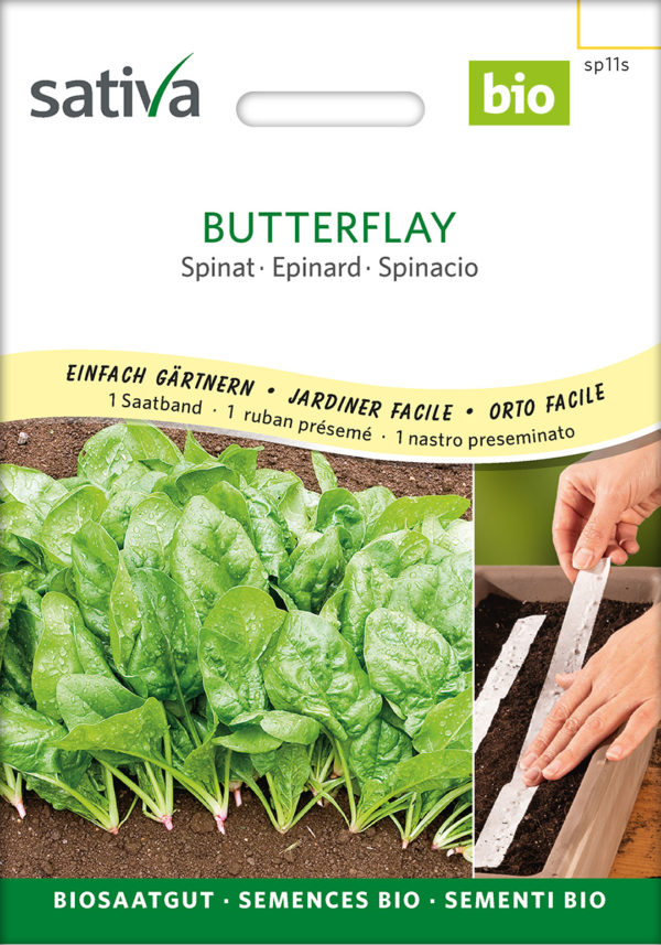 *Epinard Butterflay, ruban présemé