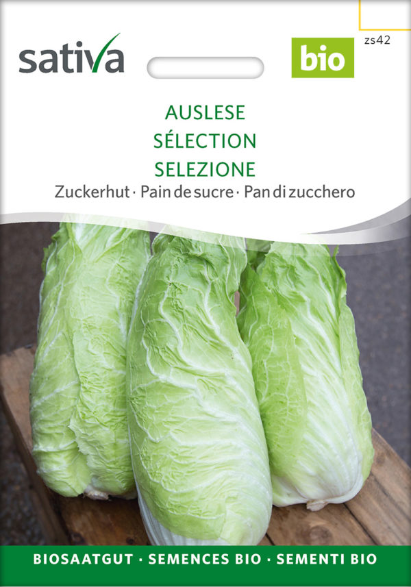 *Pain de sucre