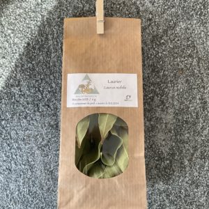 Laurier noble 6gr